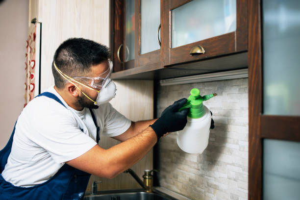 Springfield, VA Pest Control Company