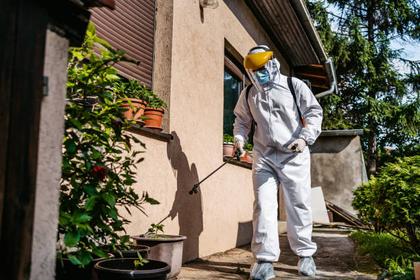 Flea Control Services in Springfield, VA