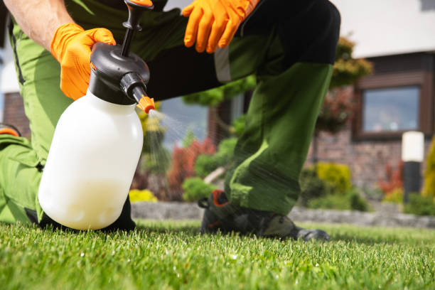 Best Mosquito Control Services  in Springfield, VA