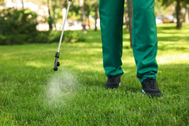 Best Best Pest Control Companies  in Springfield, VA