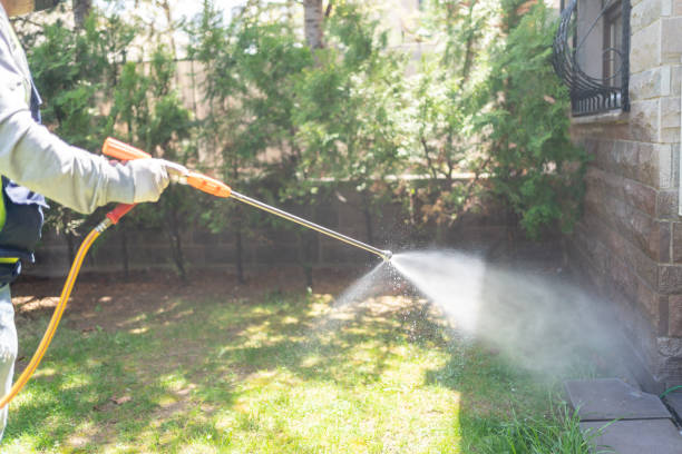 Best Bird Control  in Springfield, VA