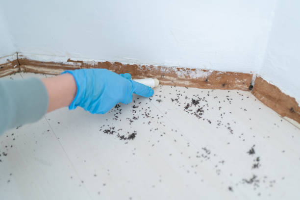 Best Wildlife Control Services  in Springfield, VA